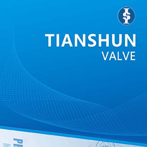 TIANSHUN VALVE